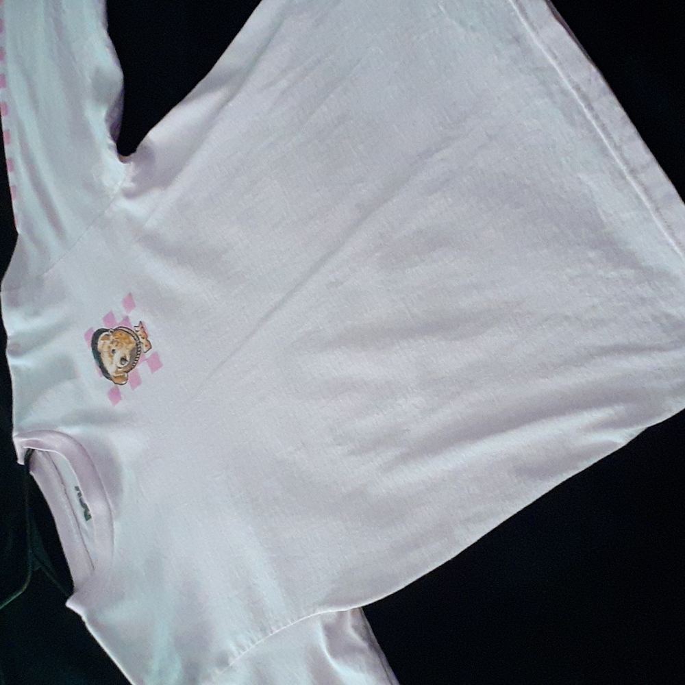 DGK Pink long sleeve tshirt Dirty Ghetto Bears